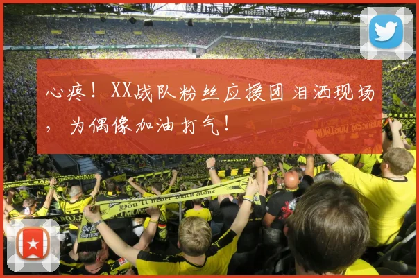 心疼!XX战队粉丝应援团泪洒现场,为偶像加油打气!