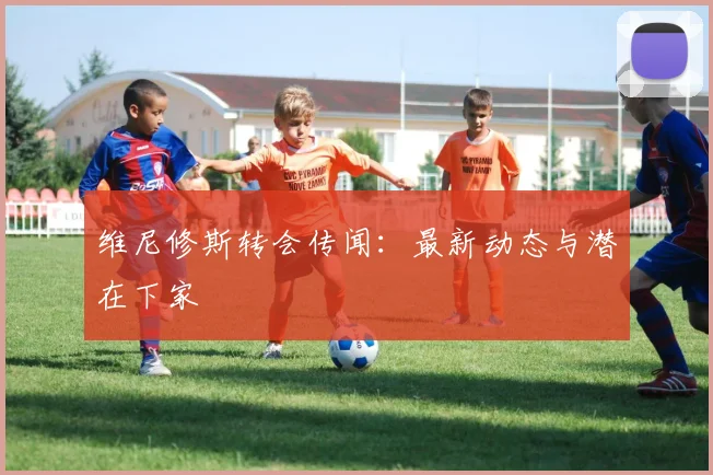 维尼修斯转会传闻:最新动态与潜在下家